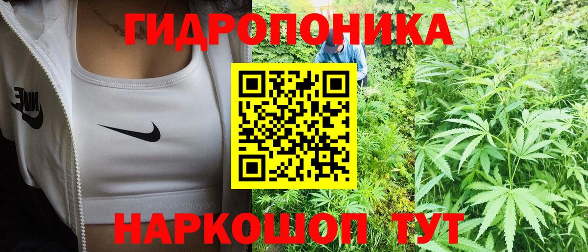 Шишки марихуана семена  Марихуана LSD WEED  Вход с VPN  Кинель 